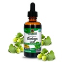 Nature's vastaus Alkoholiton Ginkgo Leaf 2000mg 2oz Extract 