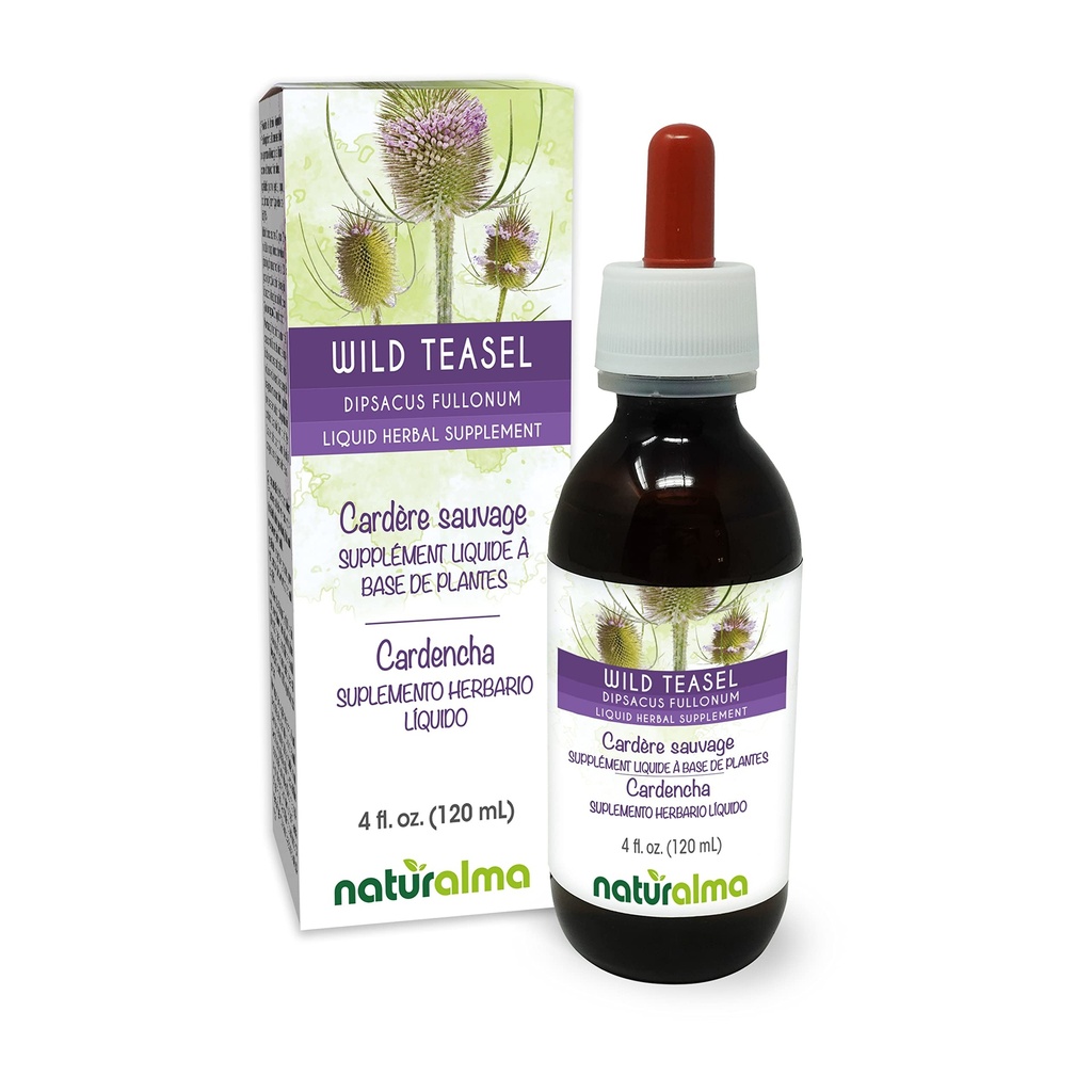 Naturalma Wild Teasel tai Fuller's Teasel (Dipsacus Fullonum tai D. sylvestris) juuri Alkoholiton tinktuura - 4 fl oz Liquid Extract in Drops - Herbal Supplement - Vegan