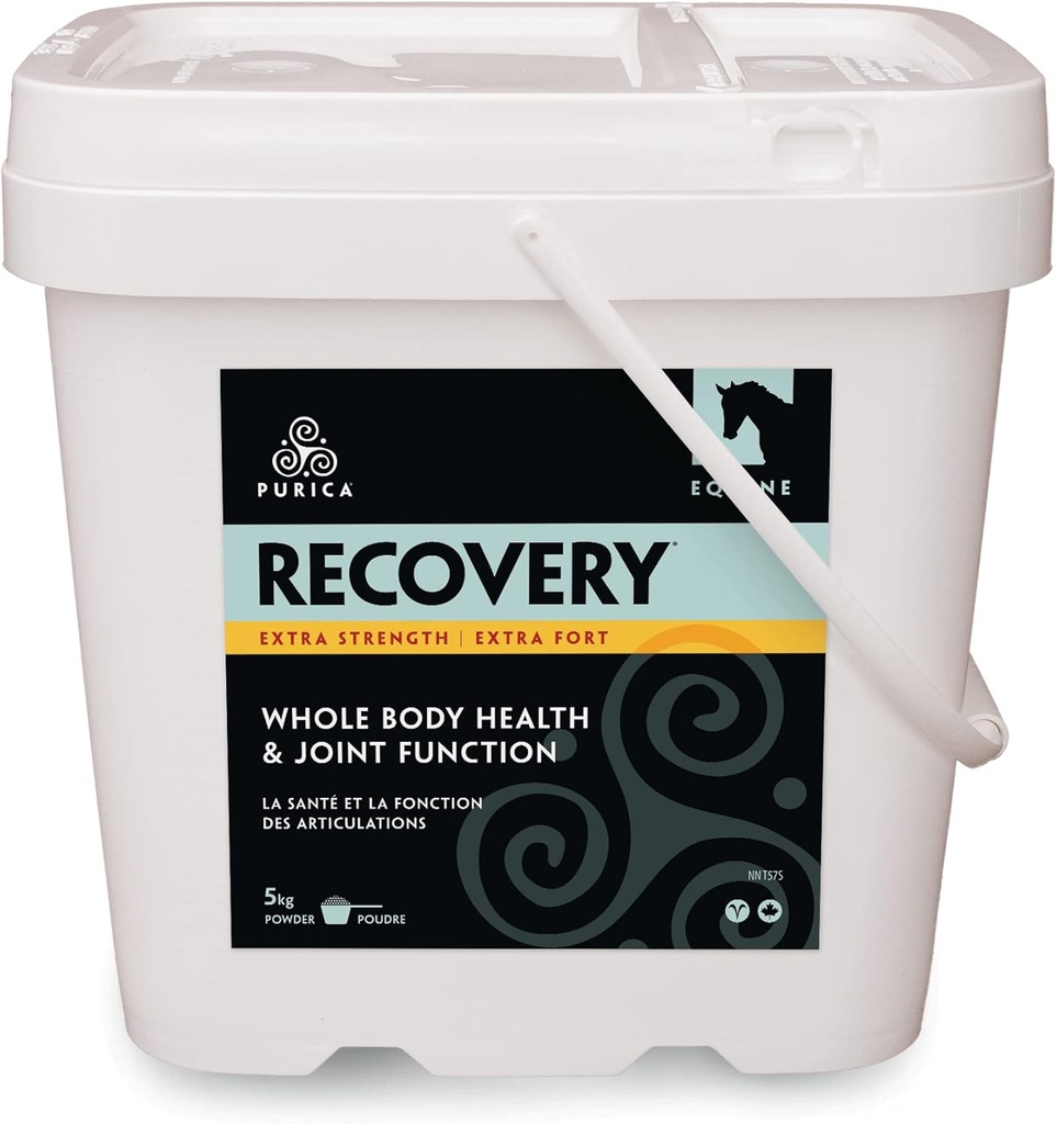 PURICA Recovery Extra Strength - Equine Joint Supplement - Kattava tuki hevosille - Ihanteellinen Hevonen Joint Supplement Senior Horses, MSM Powder Mukana - 11 lb jauhe