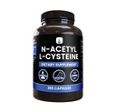 PURE ORIGINAL INGREDIENTS N-Acetyl L-Cysteine (365 kapslar) Inga magnesium eller risfiller, alltid ren, Lab Verified
