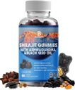 Shilajit Gummies, Shilajit, Resin, 85+ Trace Minerals, Fulvic Acid, Phytonutrients, C-vitamiini, D, B12, Ashwagandha, Chaga Mushroom, Turmeric, for Energy, Immunosupport