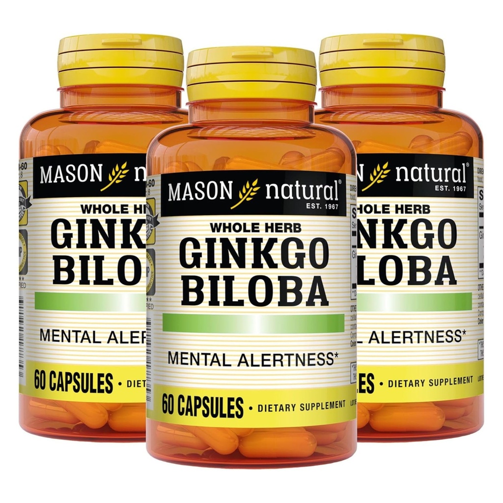 MASON NATURAL Ginkgo Biloba, 3 kuukauden tarjonta, auttaa parantamaan mielen valppautta & tuki Optimaalinen aivojen toiminto, 60 kapselia (3 pakkaus)