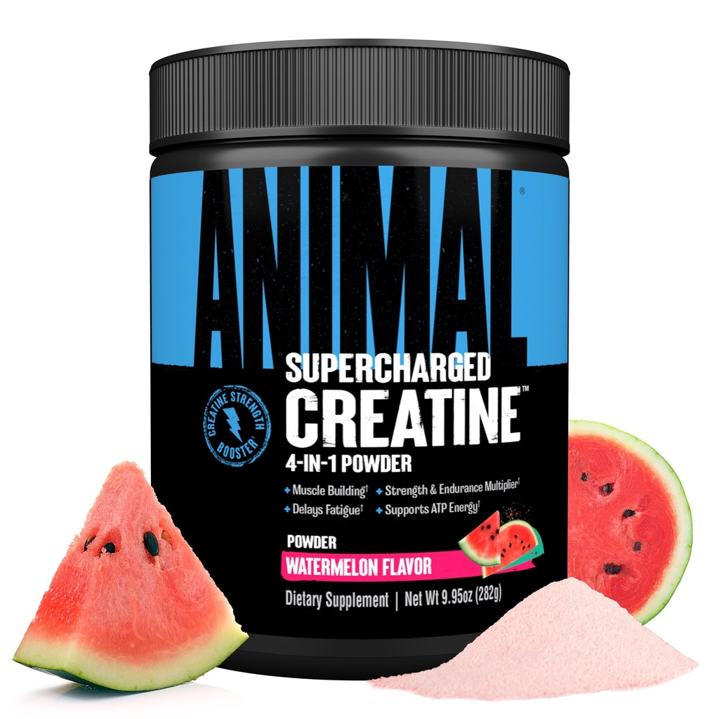 Eläinten Supercharged Creatiini Powder - Maustettu Creatiini Monohydraatti Tehostettu Betaine Vedetön, PurpleForce & Senactiv, Vahvuus, Endurance, Lihasten Recovery miesten ja naisten - Vesimeloni, 300g