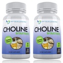 Premium Choline - 500 mg - 120 kasviskapselia - tukee kognitiivista terveyttä, muistia ja lisää - 2 pakkaus