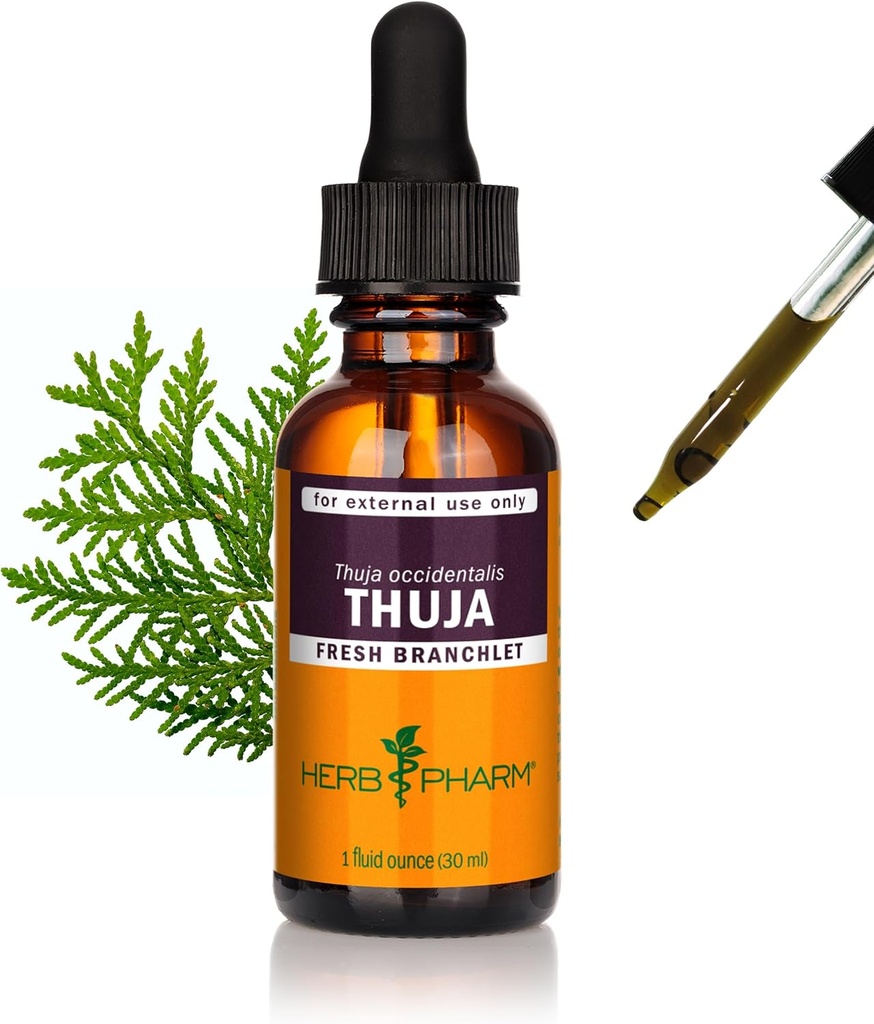 Herb Pharm Thuja Branklet Liquid Extract - 1 Ounce (DTHUJA01)