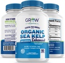 Organic Sea Kelp (Icelandic) Förbättrad - Ren Frisk Thyroid Support Natural Iodine Supplement w / Organic Sea Kelp, Blue-Green Algae & Red Algae - Immune System & Metabolism Support - 90 kapslar
