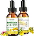 Mullein Drops för Lungs, Lung Detox & Cleanse för rökare, Organic Mullein Leaf Extract för Lungs w. Elderberry, Ginger, Mullein Tincture Alcohol gratis för andningslung hälsa 2 FL / OZ