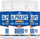 15-i-1 Alpha GPC Supplement med Phosphatidylserine, Uridine, L-Theanine, Lion's Mane Mushroom, 180 kapslar