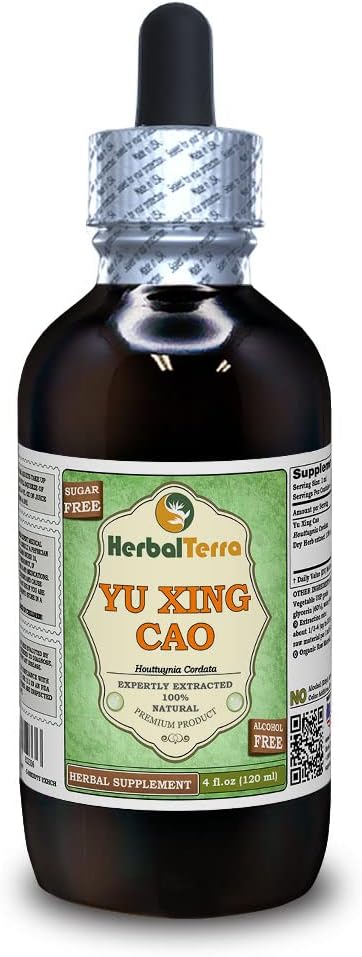 Yu Xing Cao (Houttuynia Cordata) Glycerit, Torkad Herb Alkohol-Fri Liquid Extract (Brand Name: HerbalTerra, Proudly Made in USA) 4 fl.oz (120 ml)