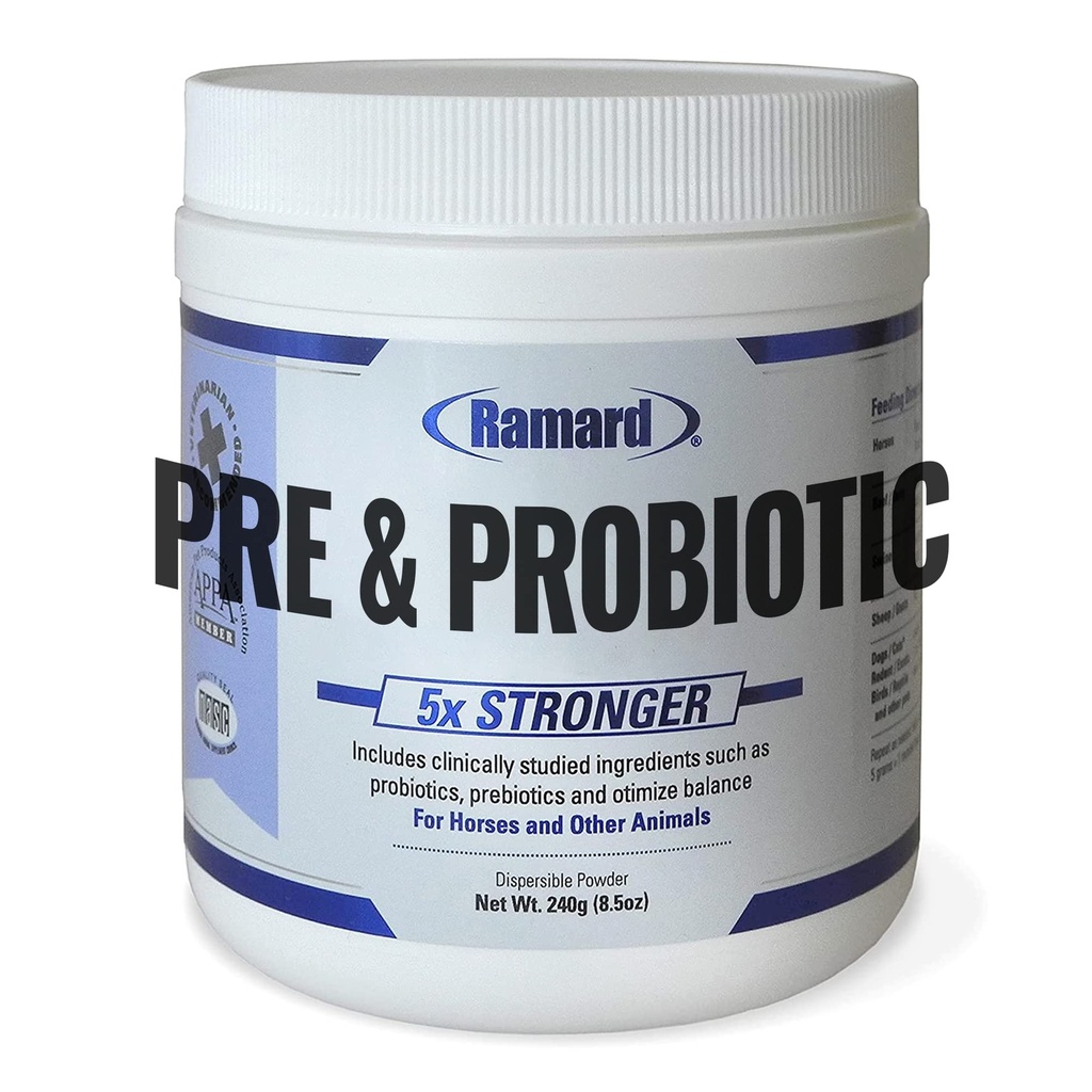 Ramard Total Prebiootti & Probiootti Equine Formula - Luonnollinen digestiivinen täydentää hevosille Optimal Gut Health, ravinneabsorptio, Foal Support Pro & Pre Biotics kotieläinten ja hevosten 8.5 oz Jar