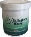 Gallagher's Water Balanced Electrolytes ja Trace Minerals hevosille, 1LB