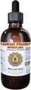 HavaijiPharm Spirulina Liquid Extract, Organic Spirulina (Arthrospira platensis) Tincture, Herbal Supplement, Made in USA, 2 fl.oz
