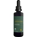 Global Healing Center - Organic Ashwagandha Supplements Drops - KSM-66 Ashwagandha Extra Strength for Men & Women, hjälper till att främja lättnad från stress, humörstöd, organisk (2 Fl Oz)