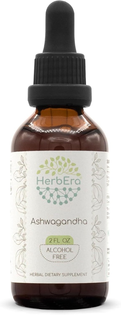HerbEra Ashwagandha B60 Alkoholiton yrttiuute Tincture, superkeskittyneet (Shui Qie, Intialainen Ginseng, Withania Somnifera) 2 fl oz