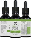 Active Folate Pure Liquid Extract täydennysosa - L-Metyylifolaatti parempaan imeytymiseen, aivojen terveyteen, parantaa solufunktiota, tukea immuunijärjestelmä, vesiliukoinen B Complex, 1oz - Ziggy Health