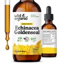 Wild & Organic Echinacea Goldenseal Liquid Drops - Immune Support Supplement w / Goldenseal Echinacea Root Extract - Vegan, Sugar & Alkoholfri tinktur - 2 fl oz