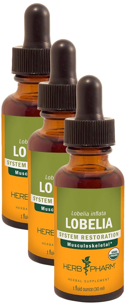 Herb Pharm Certified Organic Lobelia Liquid Extract för Musculoskeletal System Support - 1 Ounce (DLOBEL01) (Pack of 3)