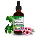 Luonnon vastaus Echinacea & Goldenseal kanssa Organic alkoholi, 2-Fluid Ounces