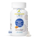 Core Med Science Liposomal Iron Supplement for Women & Men, 65 mg (90 kapselia) - Iron Imeytyminen Vitamiini pillereitä puute raskauden aikana - helppo niellä & hellä vatsassa - Dairy-free