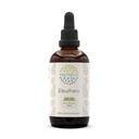 HerbEra Eleuthero B120 Alkoholiton yrttiuute Tincture, väkevät nestemäiset tihkurat Natural (Eleutherococcus Senticosus, Siperian Ginseng) 4 fl oz