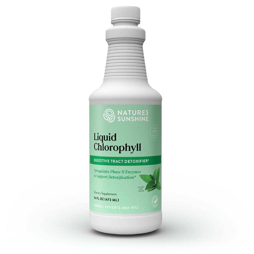 Nature's Sunshine Liquid klorofylli - Immuniteettituki, Detox & Cleanse, klorofylli Liquid Drops Spearmint Oil, Natural Energy Boost, Internal Deodorant - 16 Fl Oz