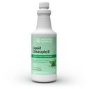 Nature's Sunshine Liquid klorofylli - Immuniteettituki, Detox & Cleanse, klorofylli Liquid Drops Spearmint Oil, Natural Energy Boost, Internal Deodorant - 16 Fl Oz