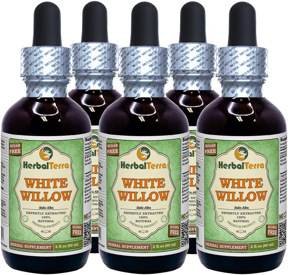 White Willow (Salix Alba) Glycerit, Organic Dried Bark Alcohol-FREE Liquid Extract (Brand name: HerbalTerra, Proudly made in USA) 5x2 fl.oz (5x60 ml)
