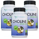 DOCTOR SUOSITELLUT LISÄT Premium Choline - 500 mg - 120 kasviskapselit tukee kognitiivista terveyttä, muistia ja lisää - 3 pakkaus