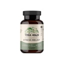 TERRA ALKUPERÄISKAPPALE 60 kapselia KSM-66 Organic Ashwagandha, L-Theanine, Rhodiola Extract, Astragalus juuri ja pyhä basilika