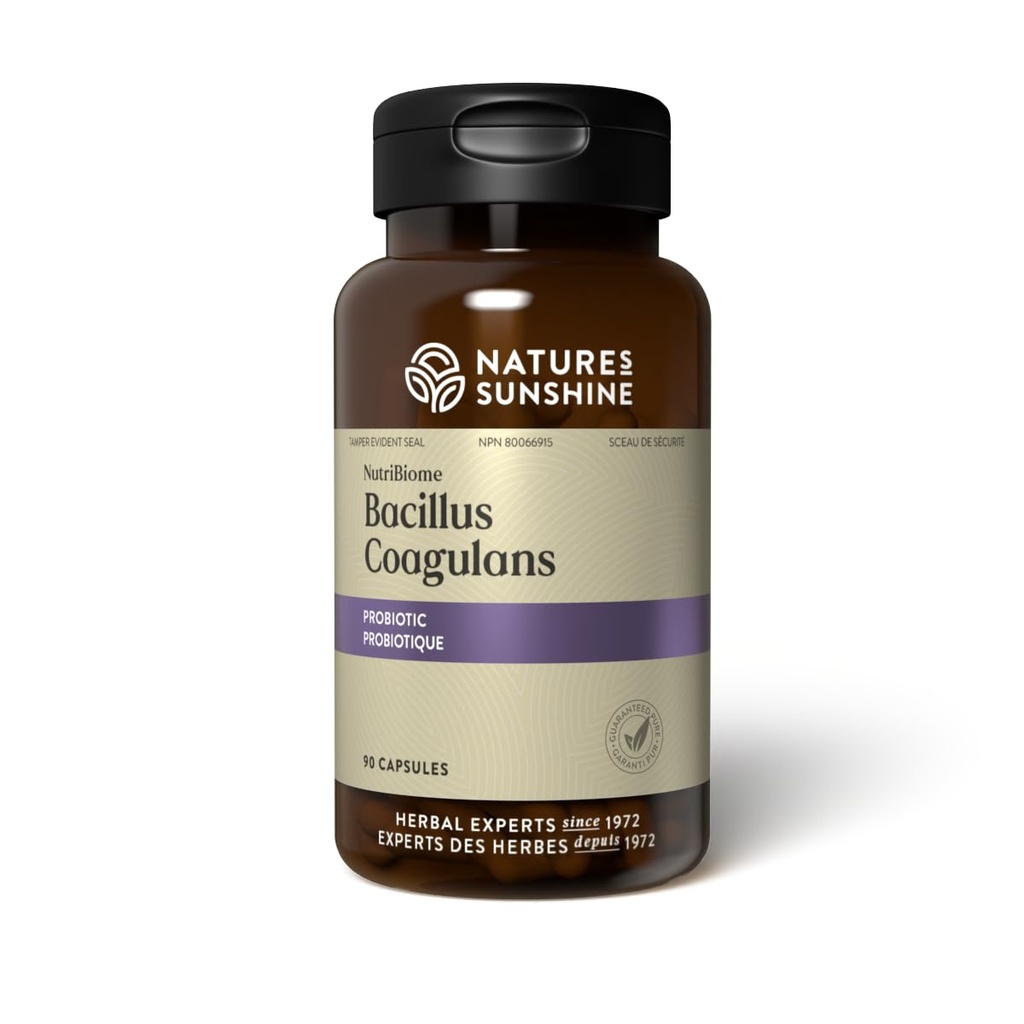 Nature's Sunshine Nutribiome Bacillus Coagulans Probiootit, 90 kapselia 
