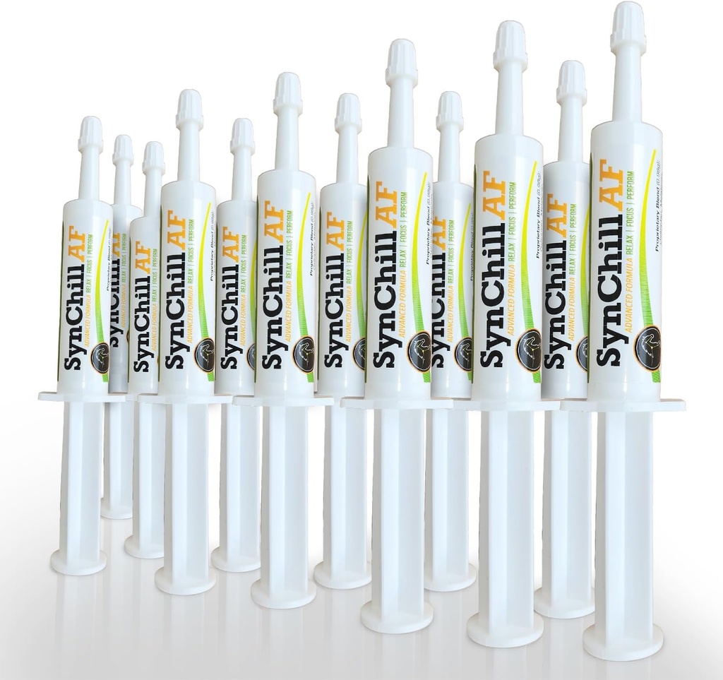 SynChill AF Calming Gel hermoston hevosten - yhden tarjoilu - Advanced Formula L-Theanine, lisääntynyt potenssi, 100% Natural Supplement, Disposition & Confidence Tuki hevosille - 12 Pack