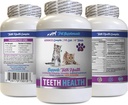 Bad Breath cat Treats - CAT Teeth Health - Advanced Mouth Health Complex - Immune Boost - biotin för katter - 1 flaska (60 tabletter)