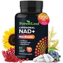 NAD+ Supplement - 500 mg Pure NAD Plus for Energy, Focus, ihon ja anti-aging Support - Gluteeniton non-GMO NAD lisäravinteet naisille ja miehille (60 luku (paketti 1), NAD+ Resveratrol)