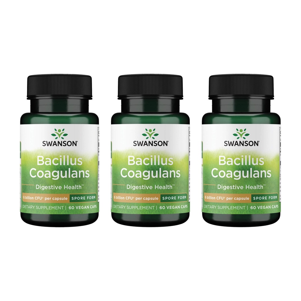Swanson Bacillus Coagulans - Natural Probiotic Supplement Supporting Dgestive Health w/ 6 miljardia PMY - Saattaa tukea GI & Kokonaisgutin terveys - (60 kasviskapselit) 3 pakkaus