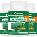 Liposomal Artemisinin Supplement 1000mg, Sweet Wormwood Extract med 200mg Quercetin Phytosome, Maximum Absorption för antioxidant 180 kapslar
