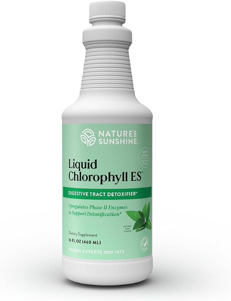 Nature's Sunshine Liquid Clorophyll Extra Strength - Immuniteettituki, Detox & Cleanse, klorofyllin nestemäiset tippa Spearmint Oil, Natural Energy Boost, Sisäinen deodorantti - 16 Fl Oz