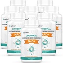 Orgabay Liposomal NAD+ Täydennys 500 mg, suuri imeytyminen, NAD+:n lisääminen 250 mg:n TMG-annoksella, todellinen NAD Plus tehokkaampi kuin Nikotinamidi Ribosidi, tukisoluenergia, terve ikääntyminen 480 Softgels