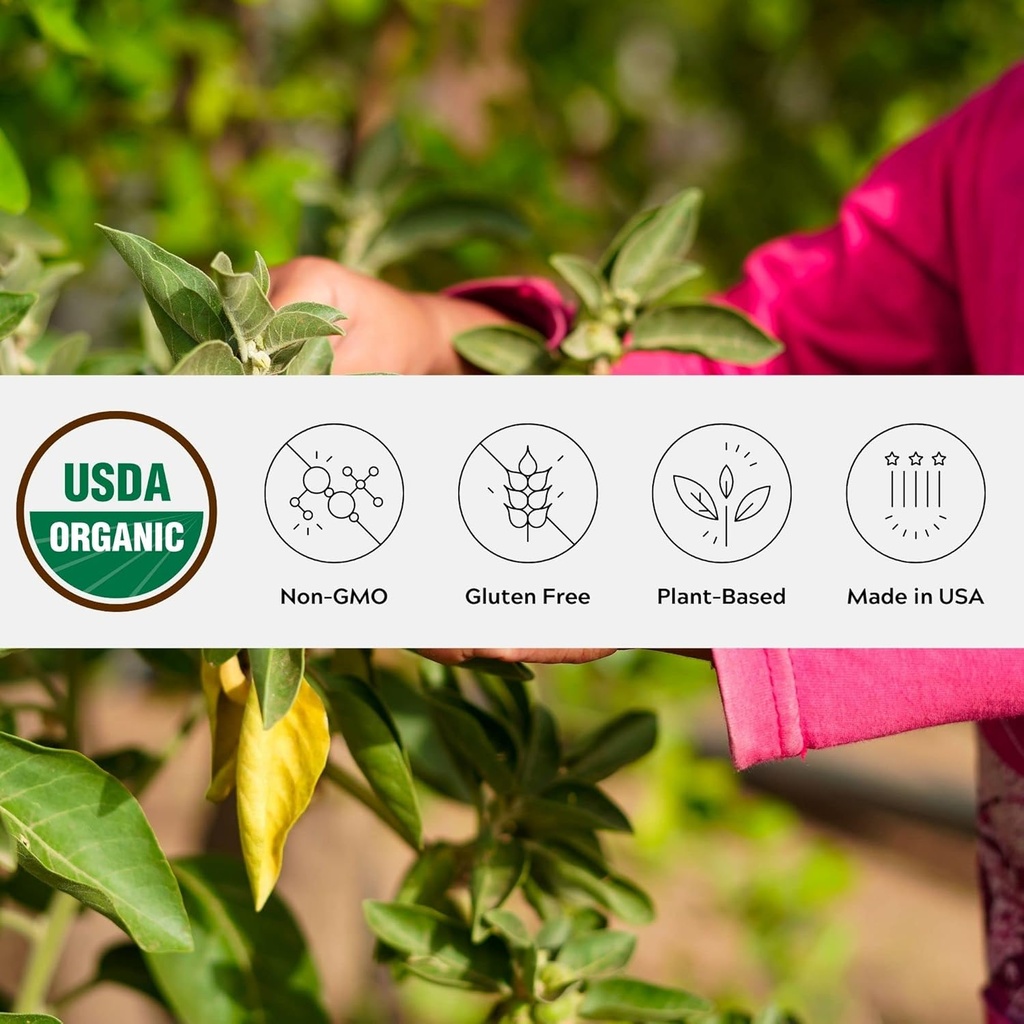 Organic Ashwagandha Powder, ei-GMO, Fair-Trade, Vegan, Gluteeniton, Yksinkertainen alkuperä, kasvanut Oregon Adaptogenic Ayurvedic Herbal Supplement in Resealable Jar