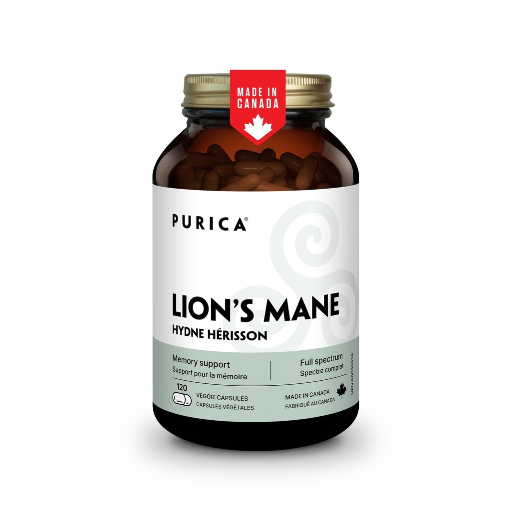 PURICA - Lion's Mane Micronized Sienet, 120 Vegan Kapselit 60 päivän tarjonta - edistää kognitiivista terveyttä - ei-muuntogeenisiä organismeja ja gluteeniton - Focus and Memory Support - Aivojen terveys ja parantaa digestio