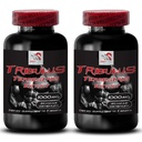 Lisätä sukupuoli ajaa - TRIBULUS TERRESTRIS EXTRACT - Tribulus terrestris ote energianlähteen, Sex drive pillereitä miehille ja naisille, Sukupuoli ajaa pillereitä, Libido tehoste - 2 pullot 180 tablettia