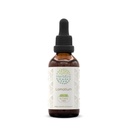 HerbEra Lomatium B60 Alkoholiton yrttiuute Tincture, väkevät nestemäiset tihkurat Natural Lomatium (Lomatium Dissectum) 2 fl oz