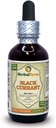 Mustaherukka (Ribes nigrum) Tincture, kuivattu lehdet Liquid Extract (Brandin nimi: HerbalTerra, ylpeästi valmistettu Yhdysvalloissa) 2 fl.oz (60 ml)