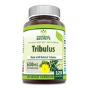 Herbal Secrets Tribulus 630 Mg 120 Kasviskapselit Supplement ...
