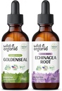 Luonnonvarainen & luomu kultainen Tincture 2 fl oz & Echinacea