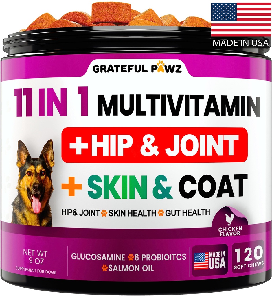 Koiran monivitamiini purra Glukosamiini - koiran vitamiinit ja lisäravinteet, vanhempi & pentu monivitamiini koirille - lemmikki Chondroitin hip ja yhteinen tuki Terveys, immuuni Booster, iho, sydän, probiootit