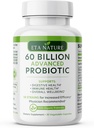 Advanced Probiootit miehille - Probiootit digestiivinen terveys, Gut tuki ja immuniteetti