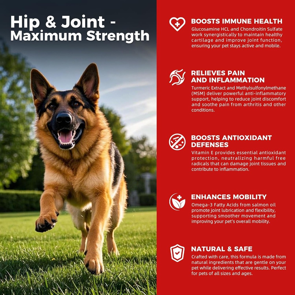 Koiran Hip ja Joint Supplement - Dog Pain Response Anti-inflammatory kanssa Glukosamiini, Chondroitin, MSM, Turmeeric, E-vitamiini, Omega 3 - Hoidot Hip Dysplasia, Niveltulehdus - Kaikki suuret pienet keskikokoinen rotu