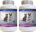 Kissat Bad Breath Home Remedy - PROBIOTICS lemmikkieläimet - koirat Kissat - Huono kaasu ja hengitys herkut - Advanced Immuuni Boost - kissan probiootit lemmikki perimmäiset - 2 pullot (120 hoitoja)