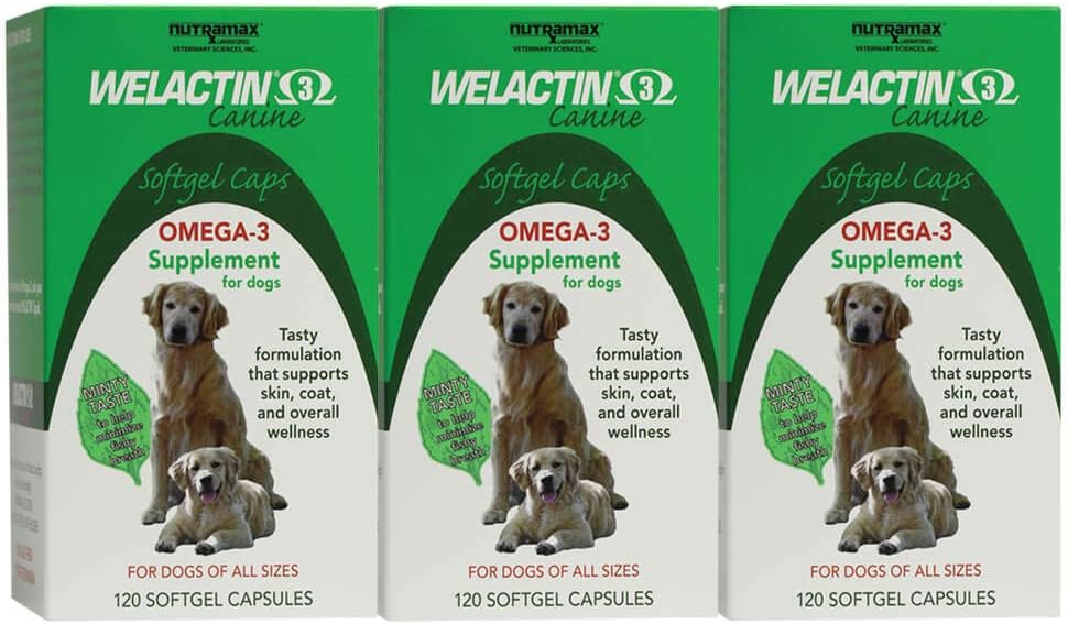 Nutramax Welactin Omega-3 Fish Oil Skin och Coat Health Supplement Liquid för hundar - 3 Pack, 360 Total Softgels