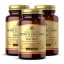 Solgar Methylcobalamin (Vitamin B12) 5000 mikrog, 60 niggets (Pack of 3) - Cherry Flavor - Tukee energian aineenvaihduntaa - Body-Ready, Active Form - Ei-GMO, Vegan, Gluteeniton - 180 Tarjoilu yhteensä